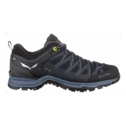 Salewa Mountain Trainer Lite Gore-Tex Homme Gris